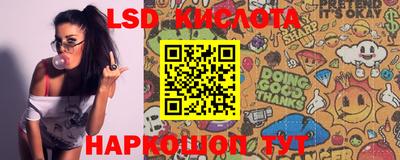 MDMA Гай