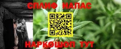 СК Абакан