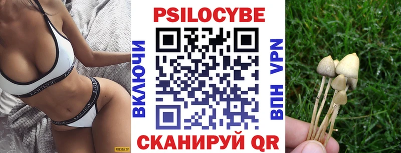 Галлюциногенные грибы прущие грибы  Александров 