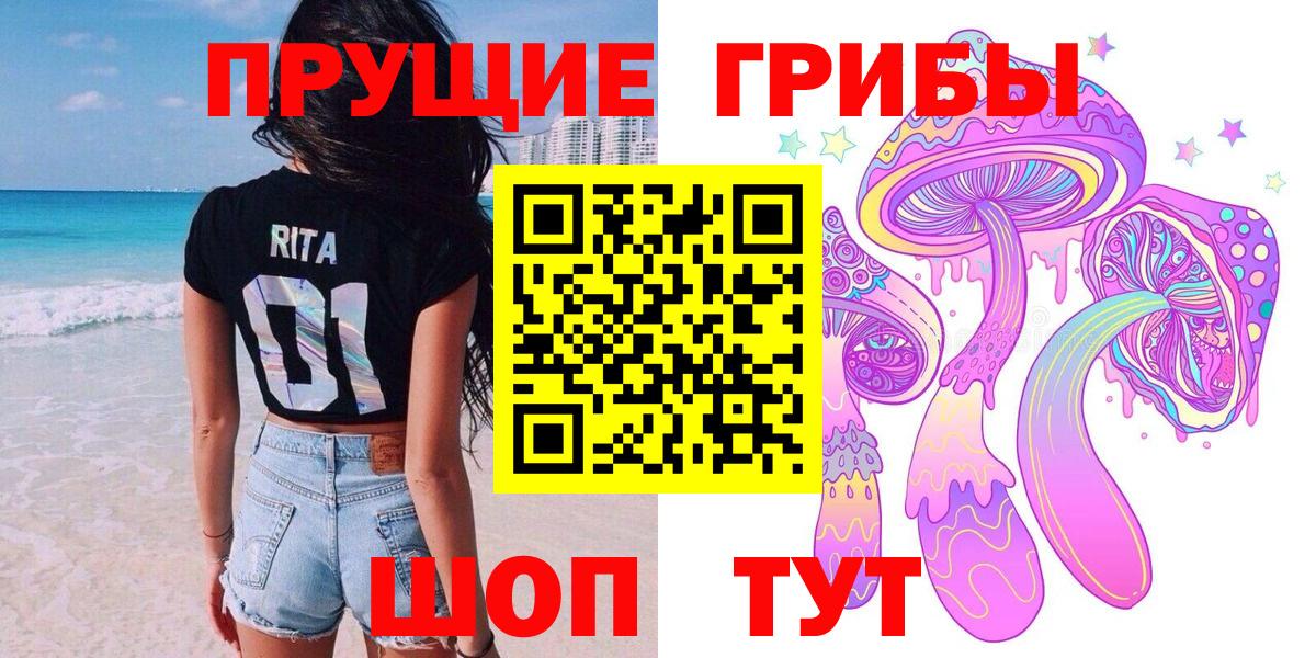 Галлюциногенные грибы Psilocybe  Вход с VPN  Александров 