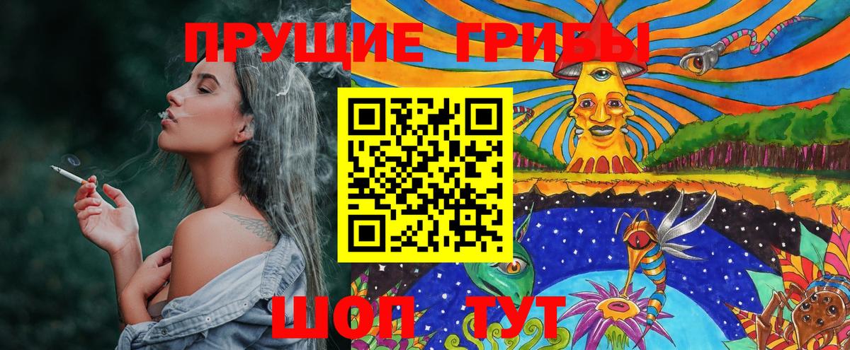 Галлюциногенные грибы MAGIC MUSHROOMS  Вход с VPN  Галлюциногенные грибы мухоморы  Александров 