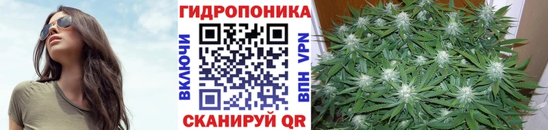 Канабис THC 21%  Александров 