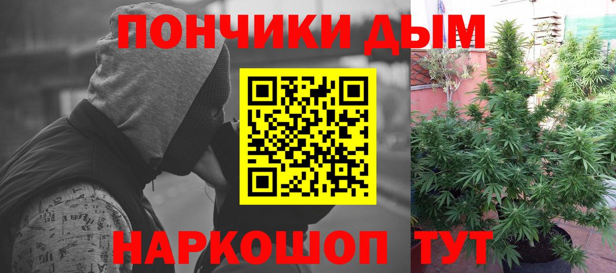 Бошки марихуана гибрид  Конопля планчик  Александров  МАРИХУАНА Ganja  Вход с VPN 